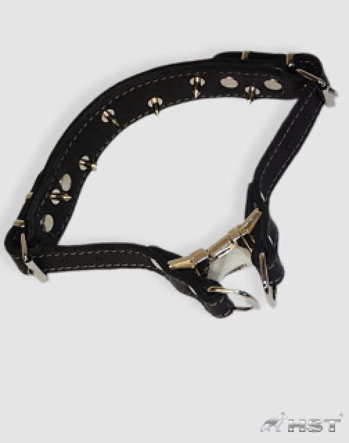 P050K Collar entrenamiento cuero 1 cm9